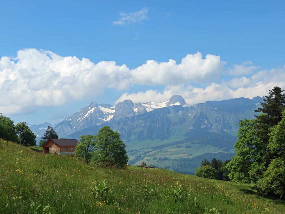 Blick Richtung Alpstein