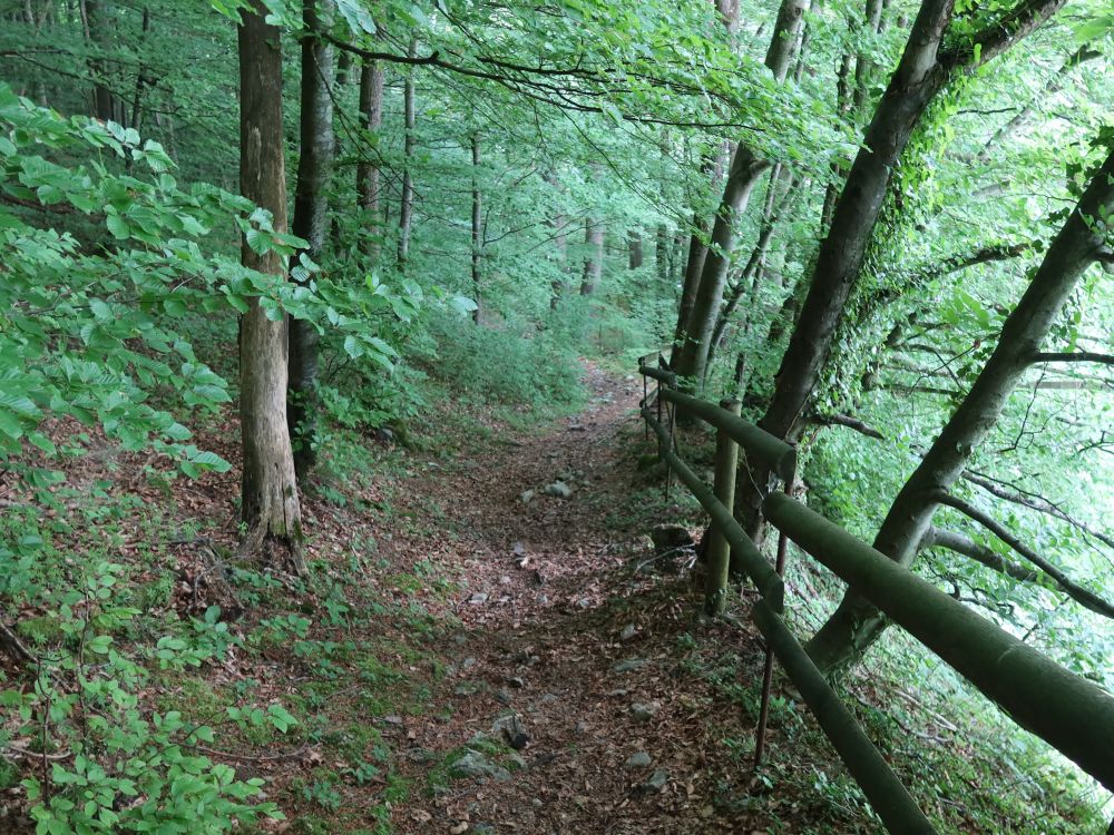 Waldweg