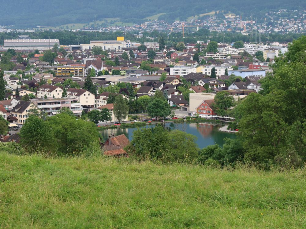 Buchs und Werdenbergersee