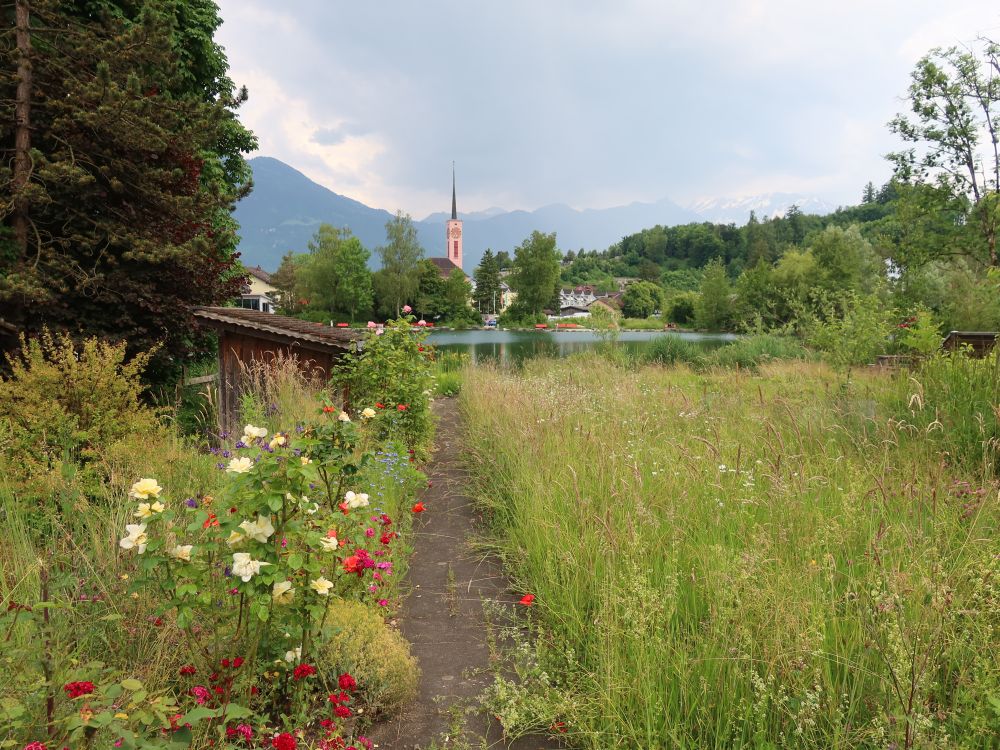 Blumenpracht am Werdenbergersee