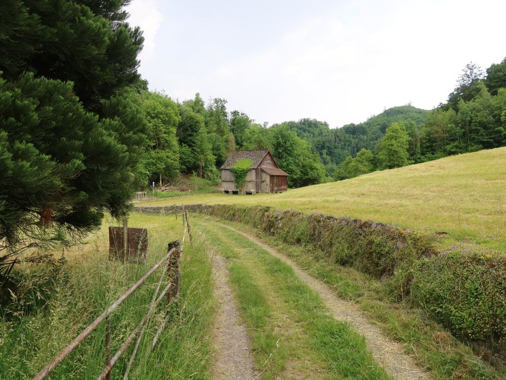 Steinmauer am Wegesrand