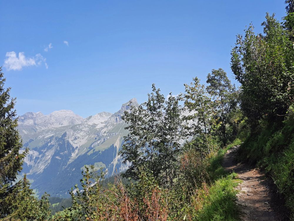 Bergpfad bei Staldi