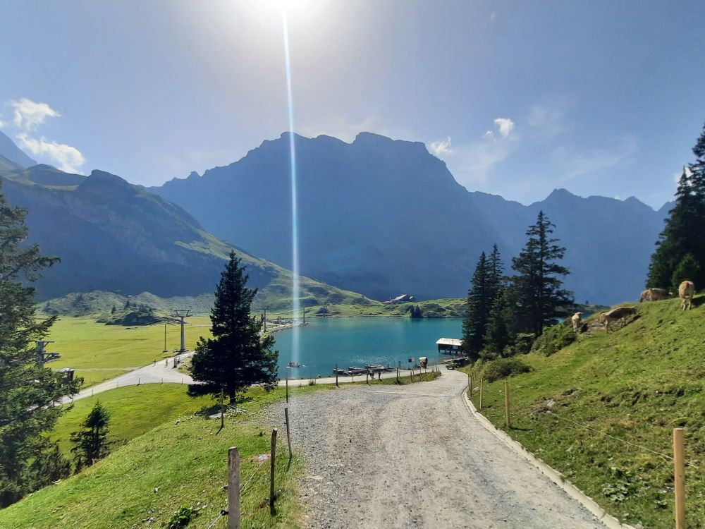 Schafberg und Graustock überm Trübsee