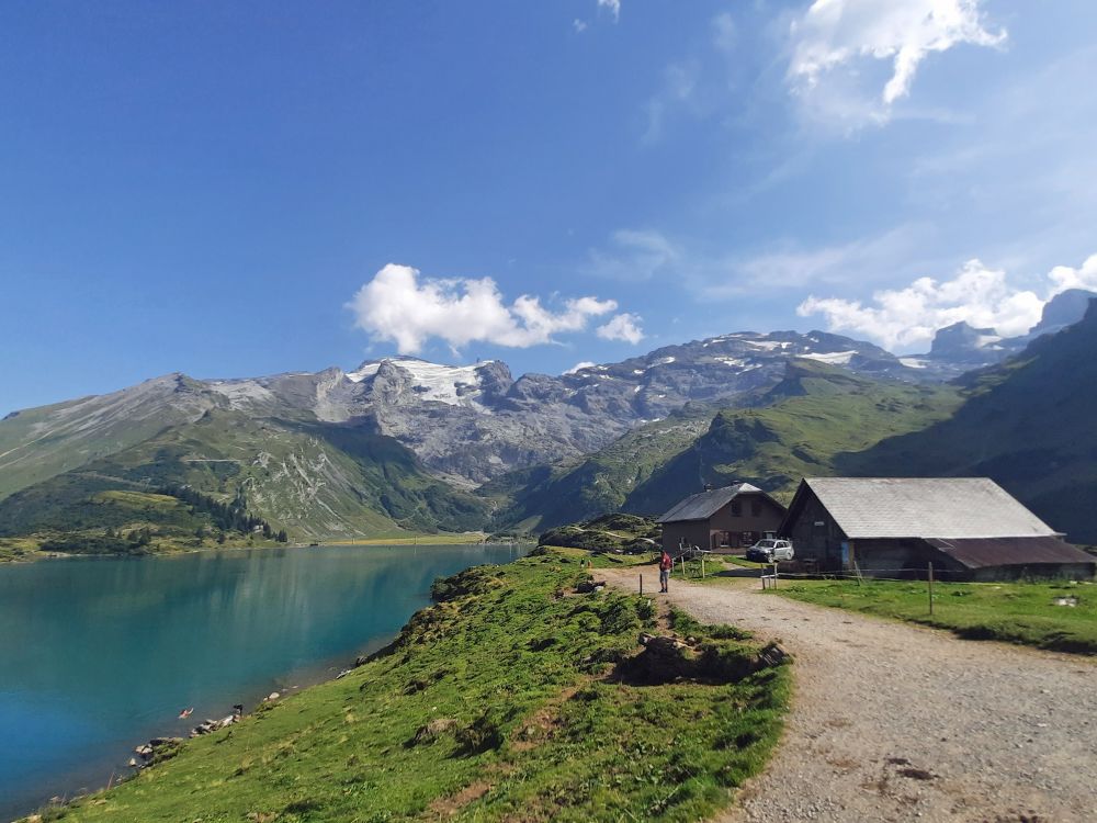 Alpe am Trübsee mit Titlis