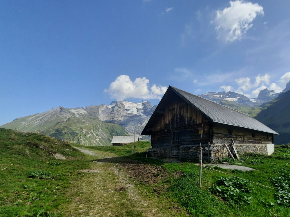 Stall mit Titlis