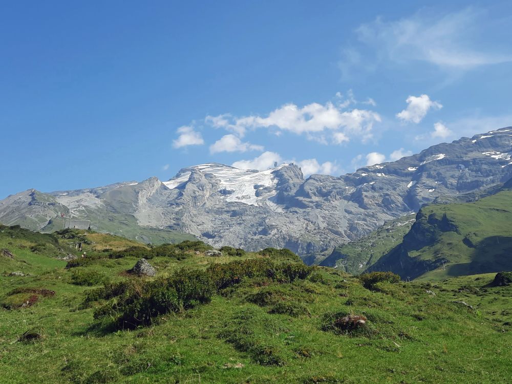 Blick zum Titlis