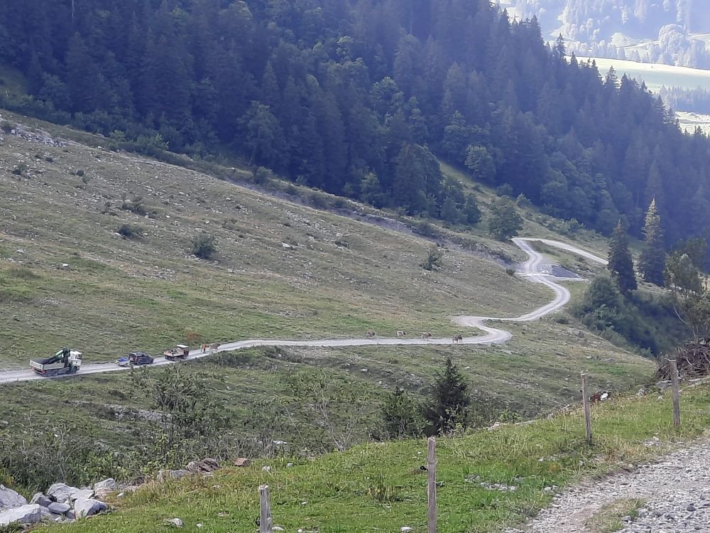 Wirtschaftsweg am Zopf