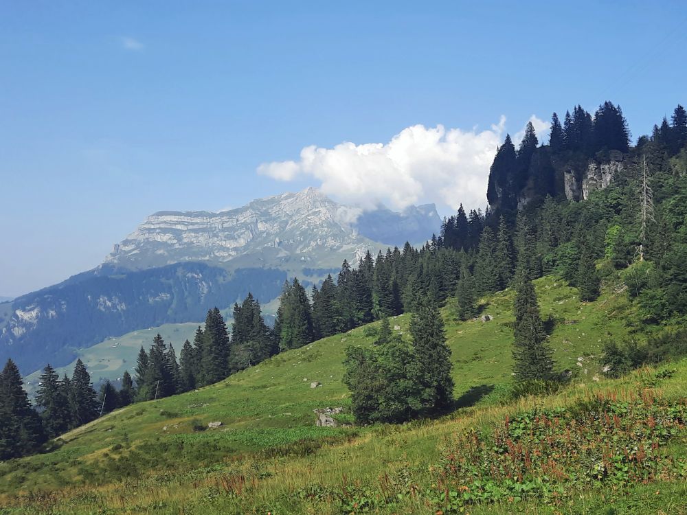 Vorder Walenstock und Rigidalstock in Wolken