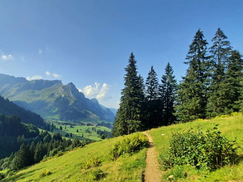 Bergpfad und Scheideggstock