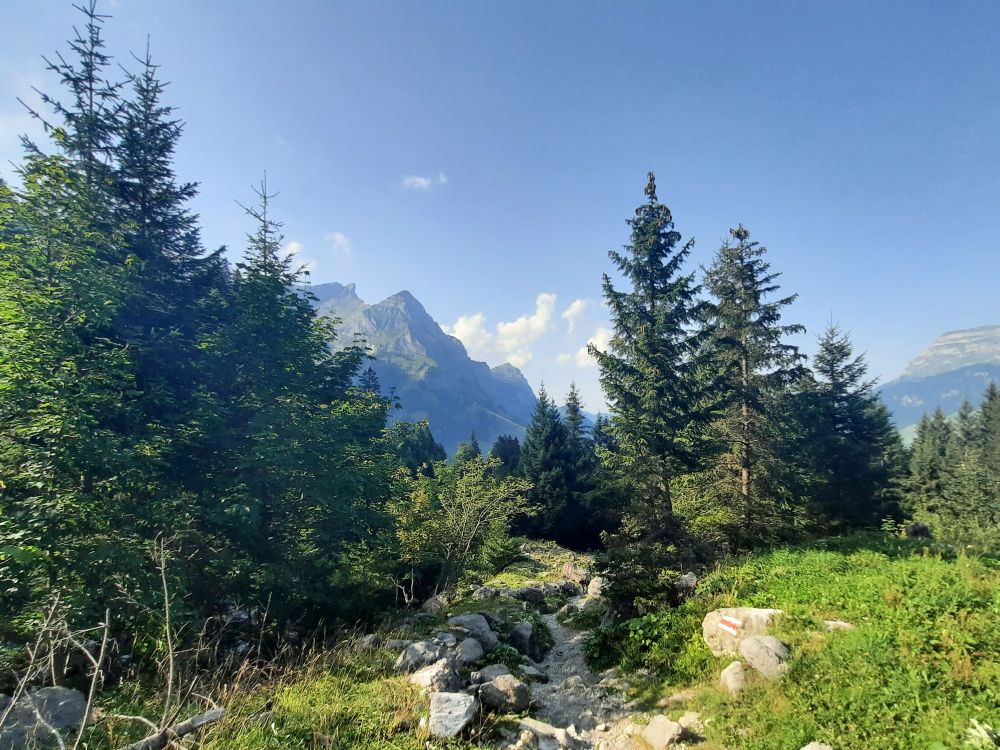 Bergpfad und Scheideggstock