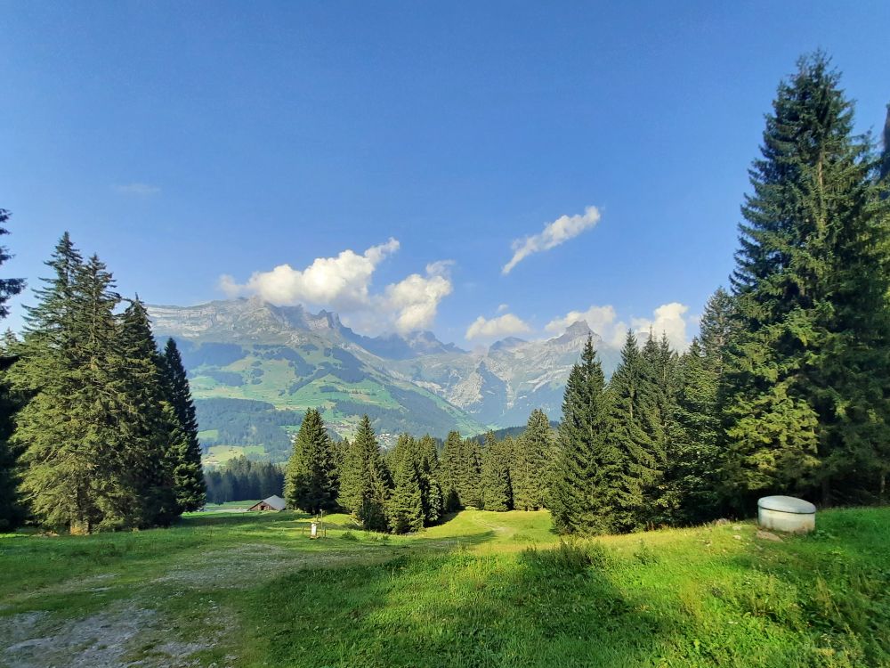 Rigidalstock bis Hahnen