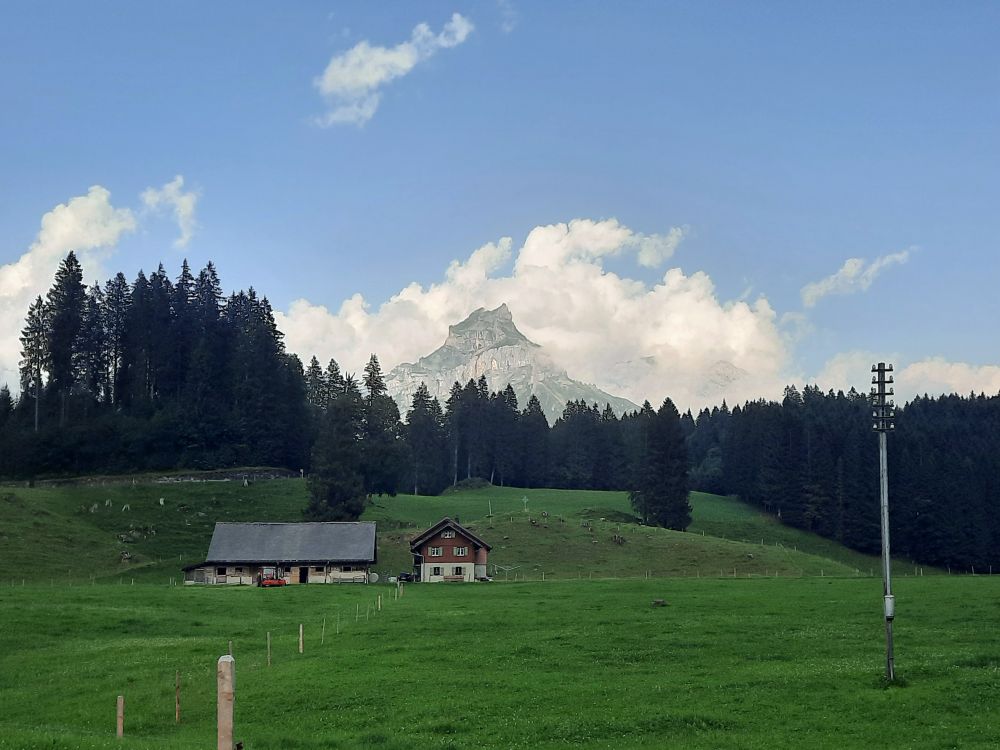 Bauernhof am Boden mit Hahnen