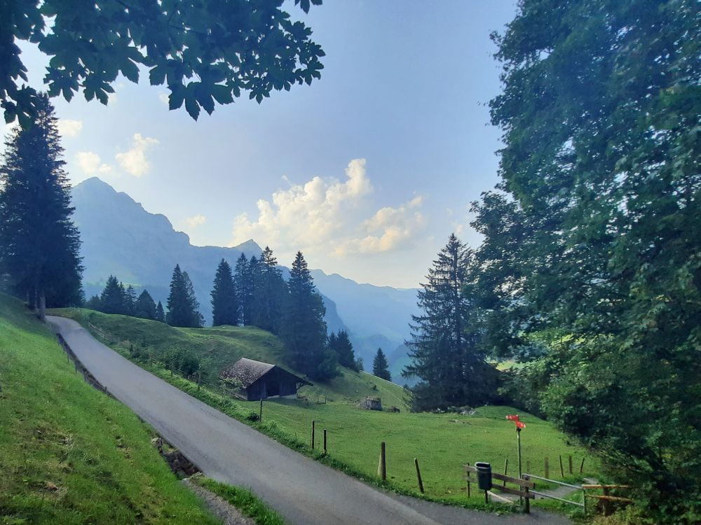 Strässchen am Speichselmattliwald