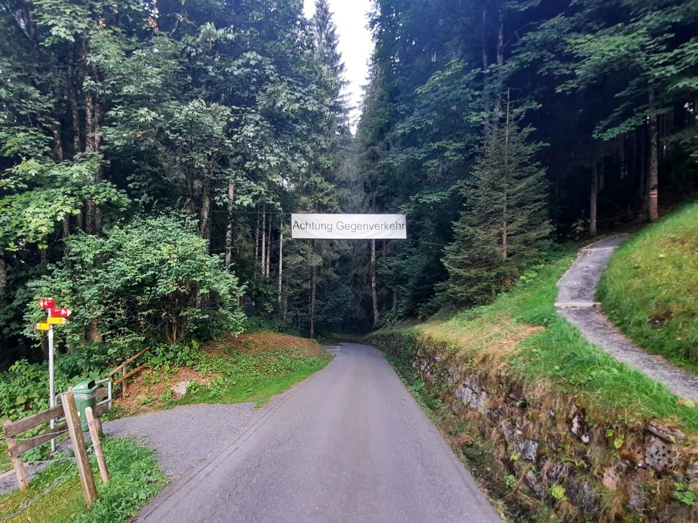 Strässchen am Speichselmattliwald