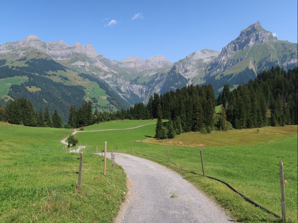 Rigidalstock bis Hahnen