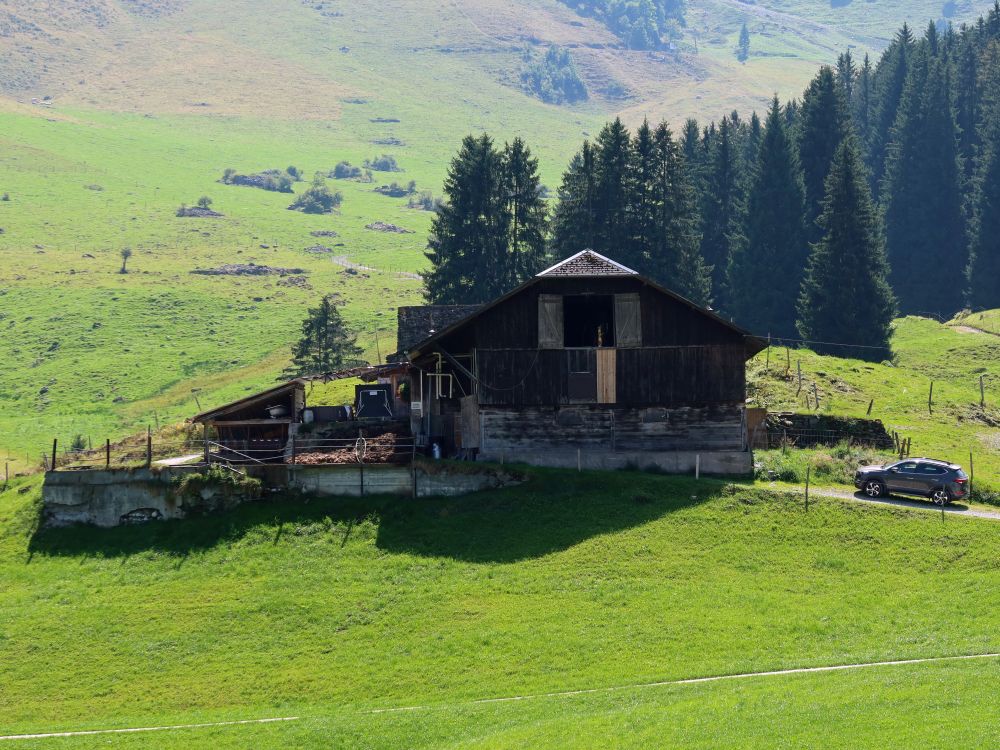 Bauernhof bei Vorder Stafel