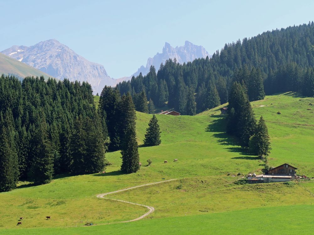 Schlossberg und Gross Spannort über Trauboden und Herdhütte (re.)