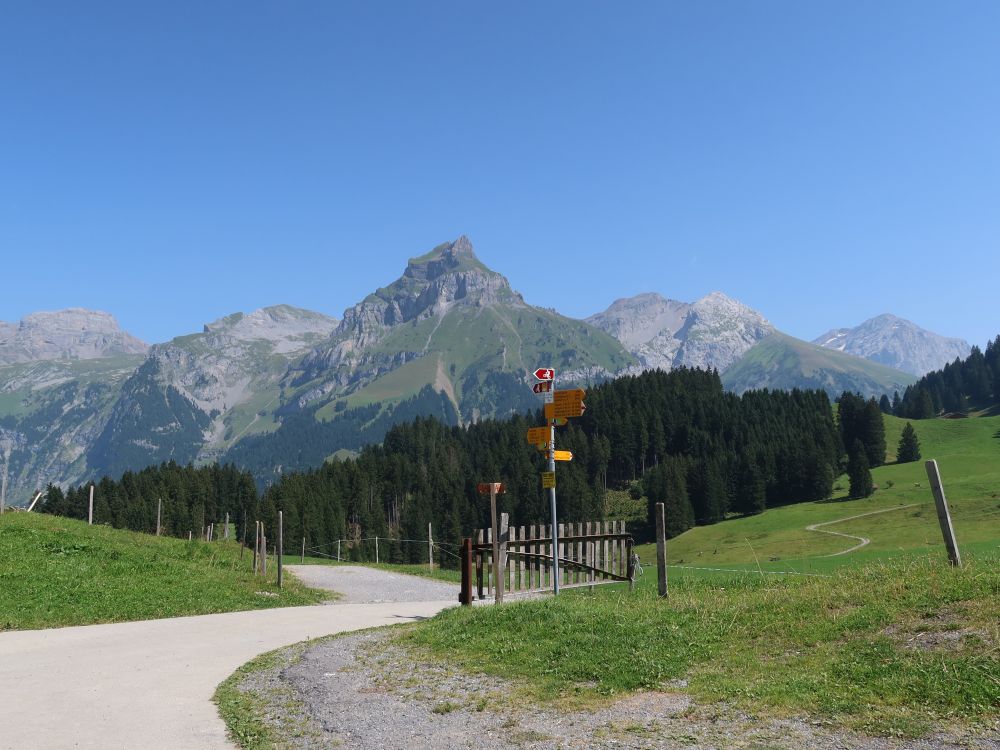 Blick von Gerschni Richtung Hahnen