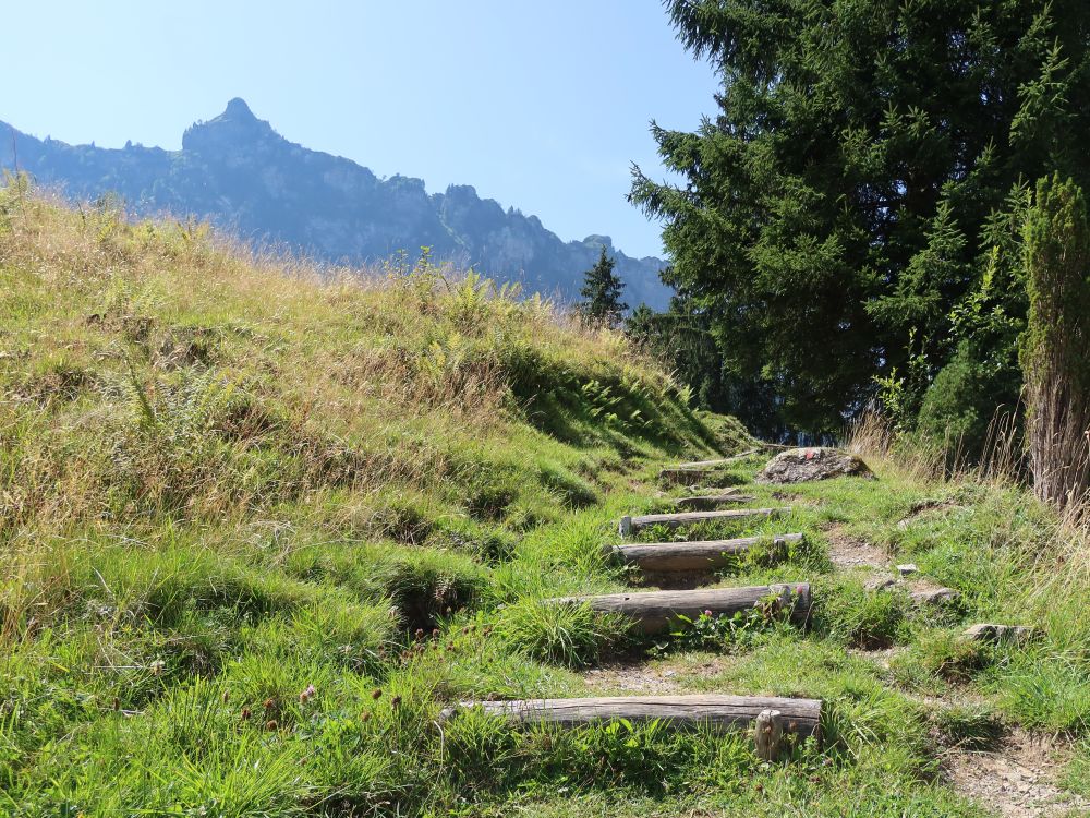 Treppe mit Bitzistock