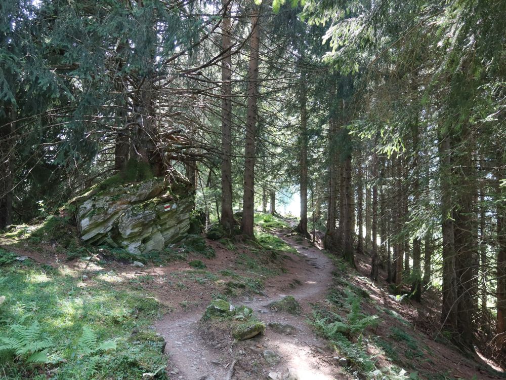 Waldweg