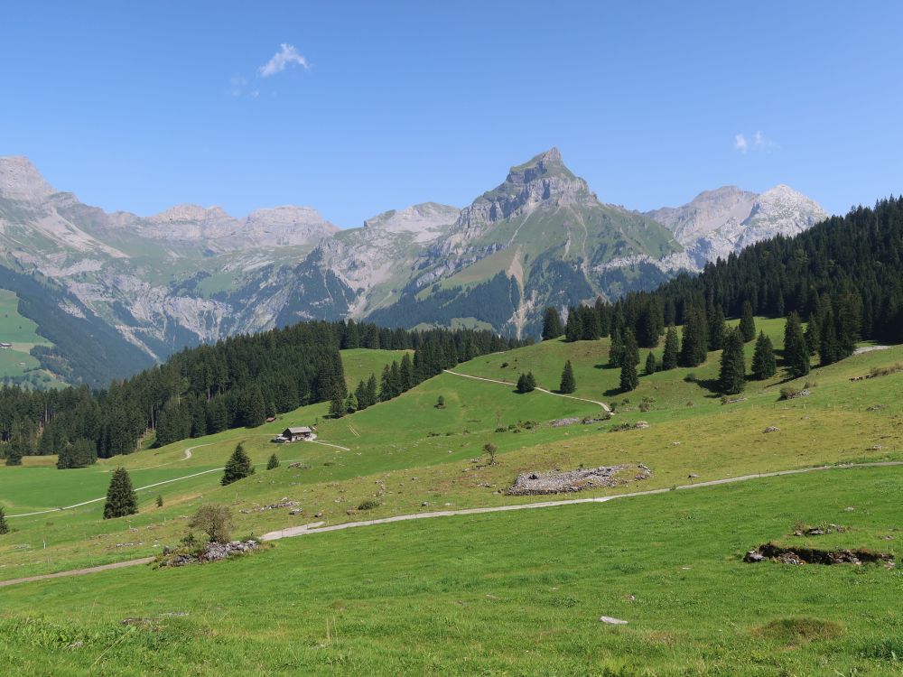 Blick über Gerschni Richtung Hahnen