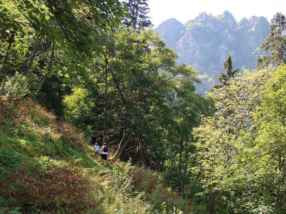 Wanderer bei Staldi