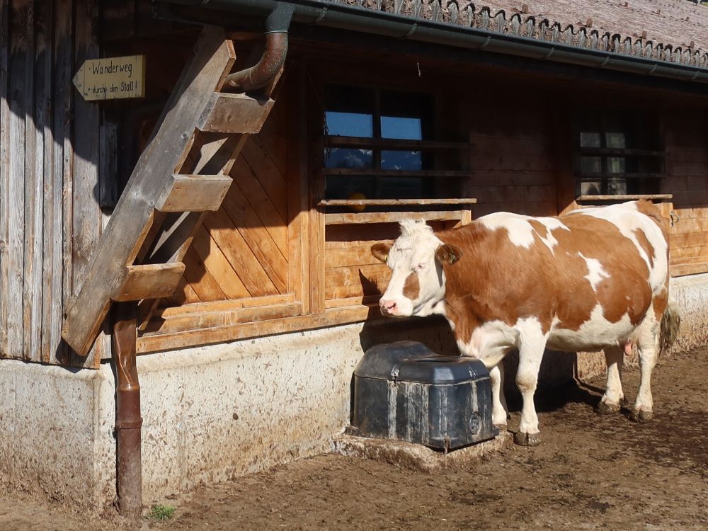 Wanderwegweiser durch den Stall