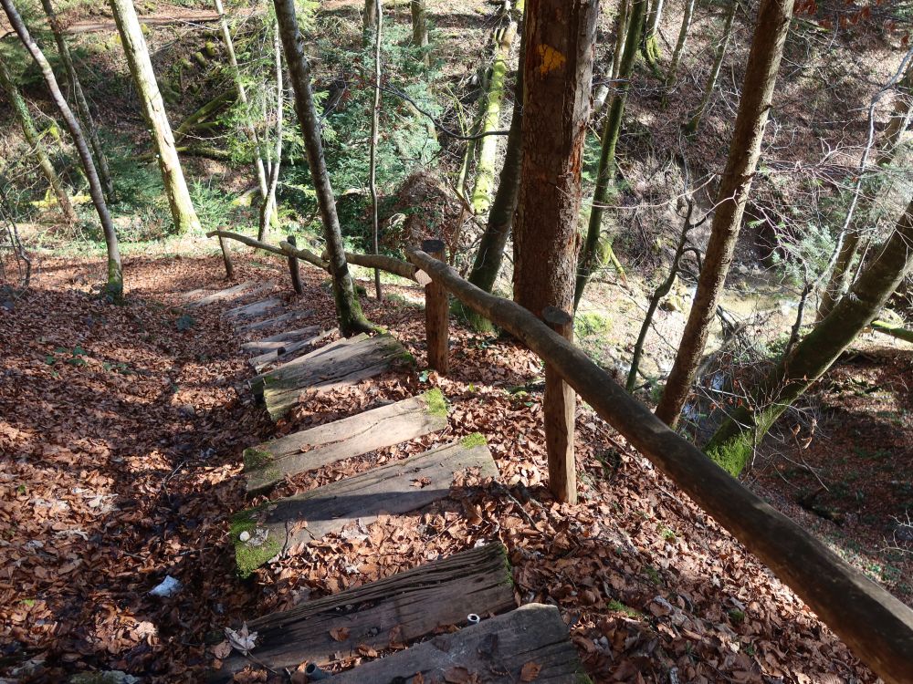 Treppe im Giblertobel