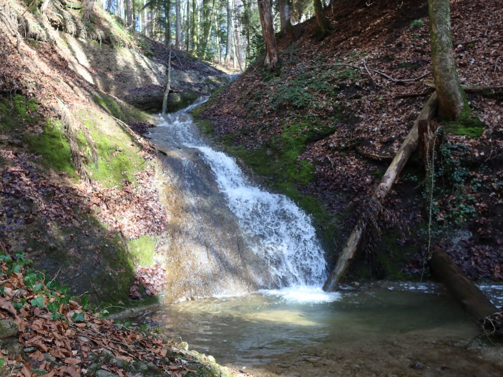 Wasserfall im Giblertobel