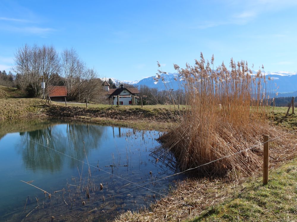 Teich bei Strickel