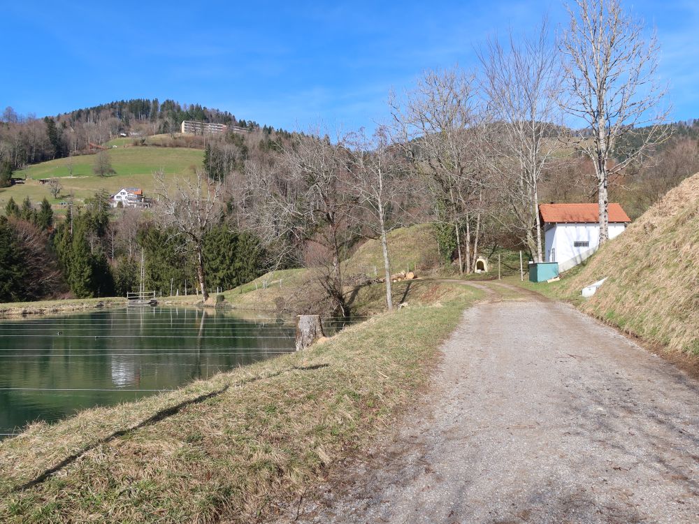 Teich bei Strickel