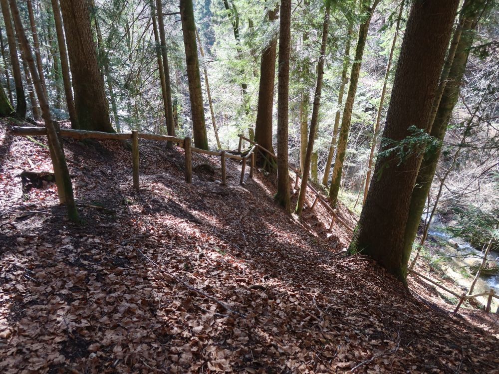 Treppe im Giblertobel