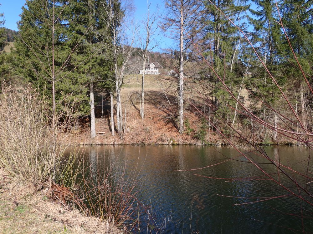 Weier unterhalb Bannholz