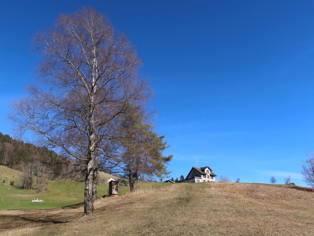 unterhalb Bannholz