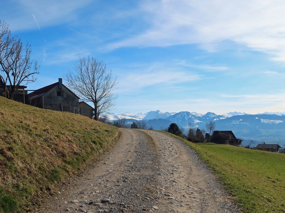 Bergweg mit Alpensicht