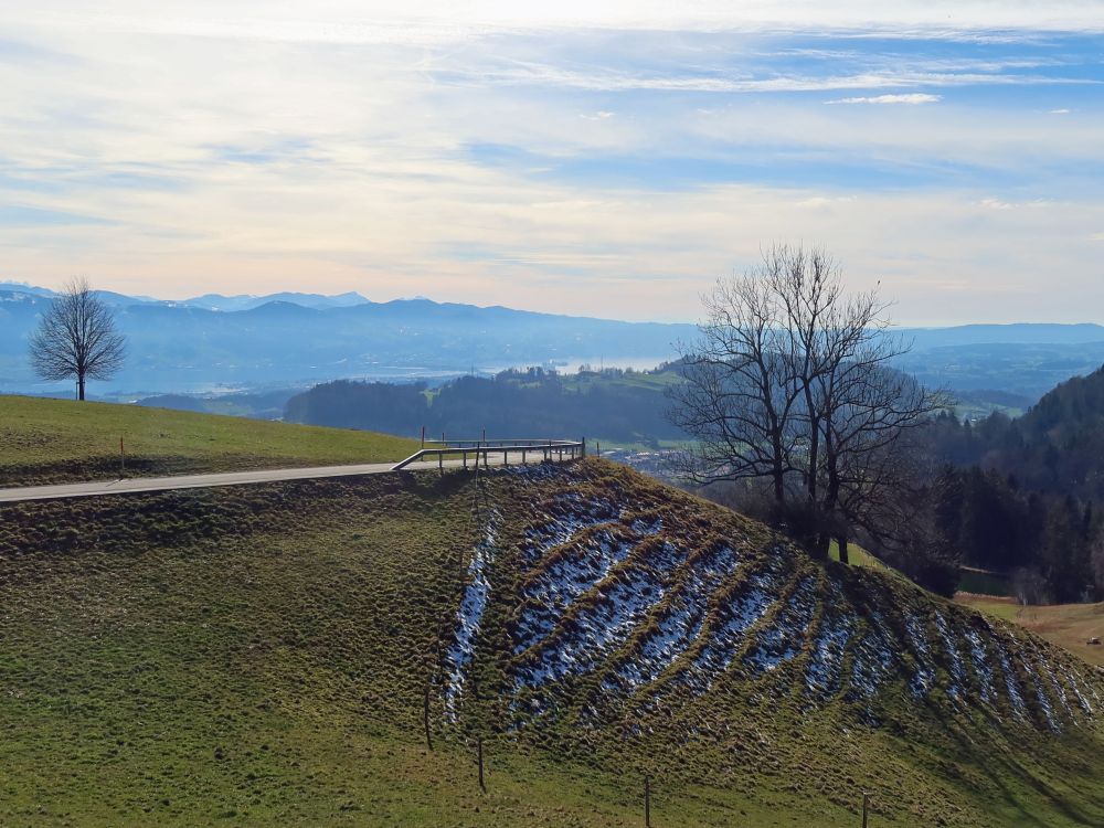 Schneereste und Zürichsee