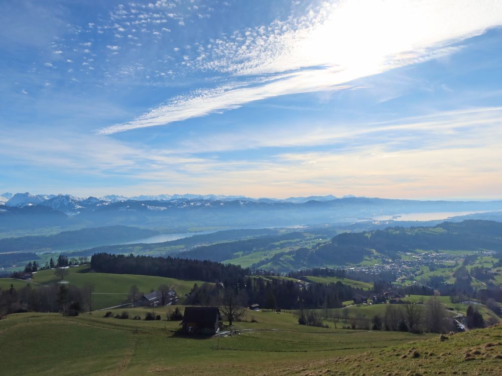 Blick Richtung Zürichsee