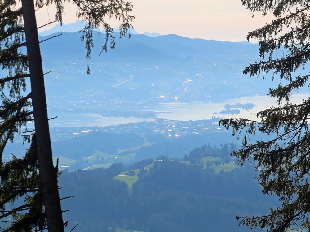 Zürichsee