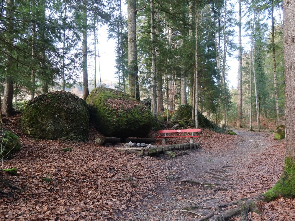 Grillplatz im Sagenraintobel