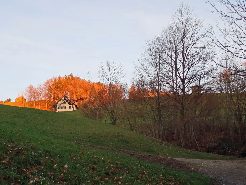 Haus in der Abendsonne