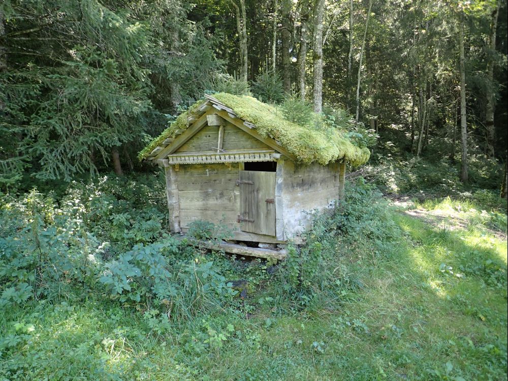 bemooste Waldhütte