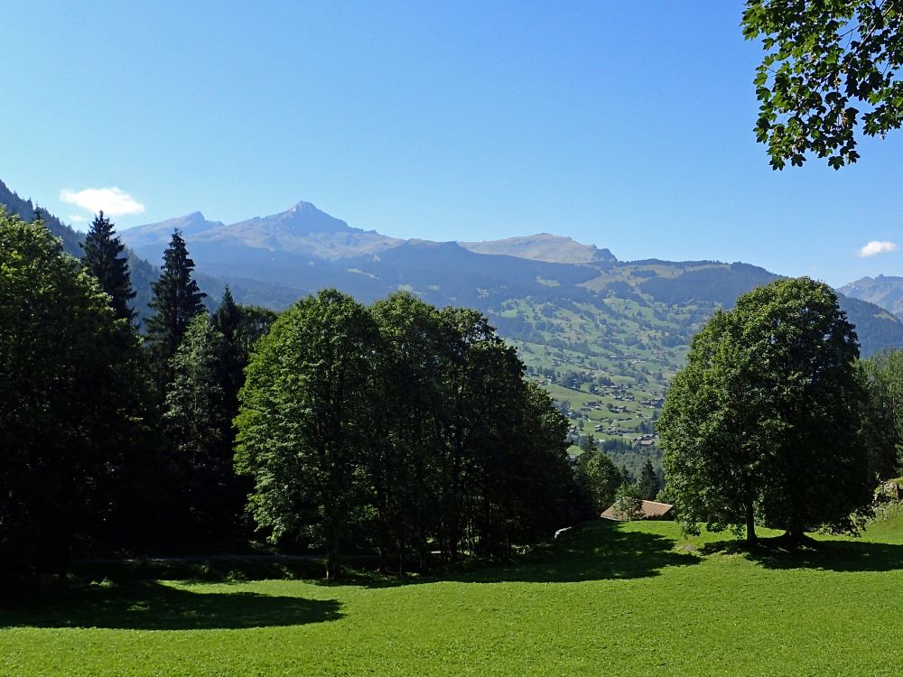 Lauberhorn, Tschuggen und Männlichen