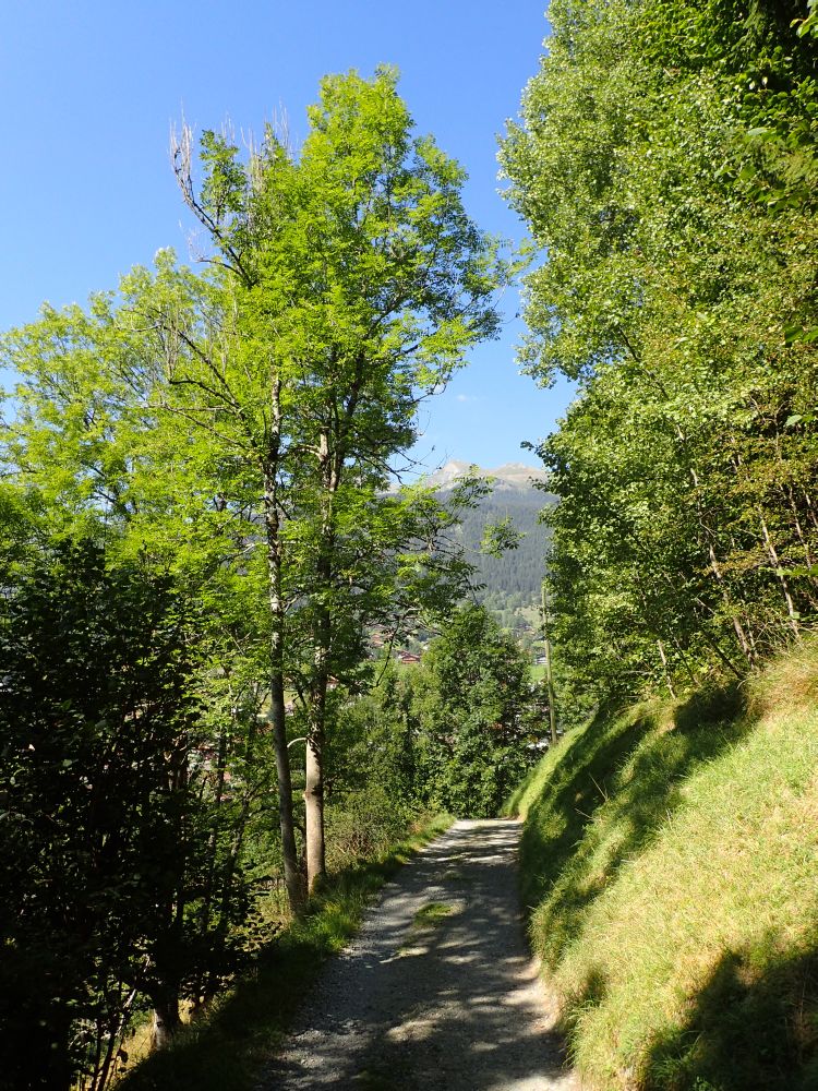 Haltenweg