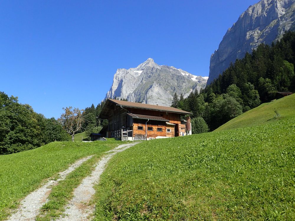 Stall unterm Wetterhorn