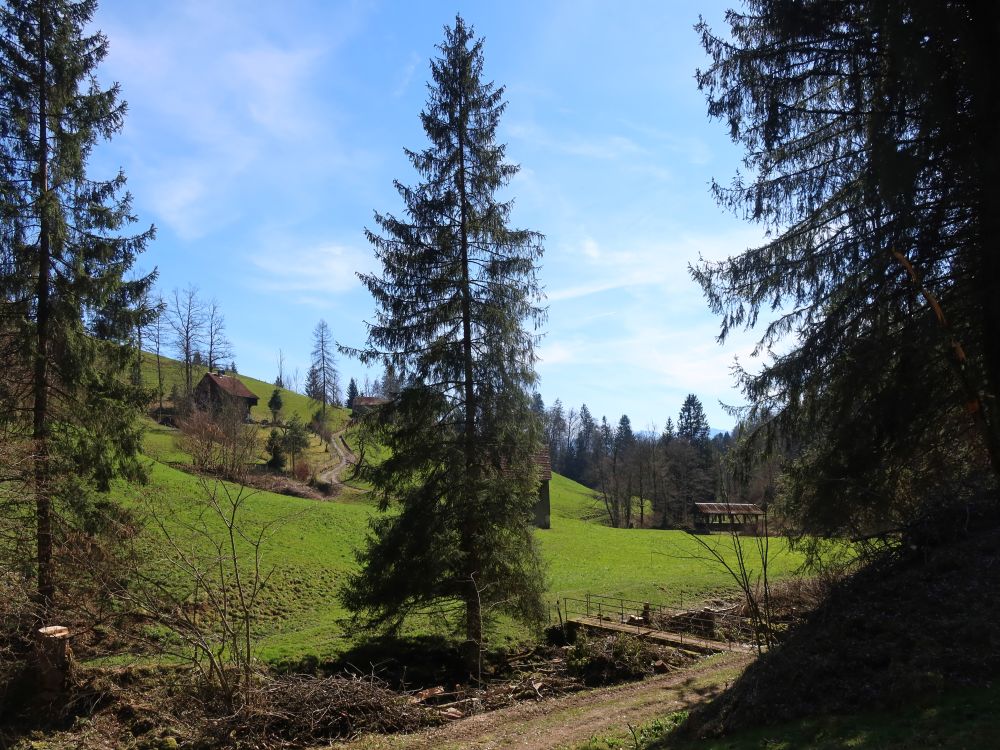 Ruedlingen überm Goldingerbach