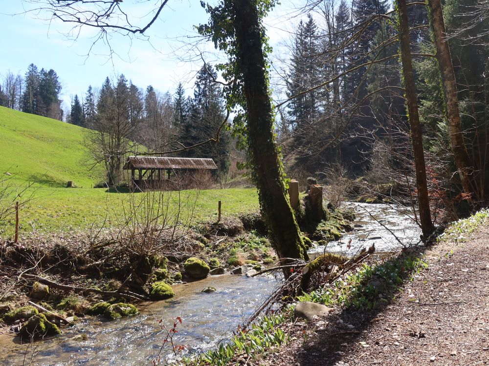 Goldingerbach mit Holzbrücke