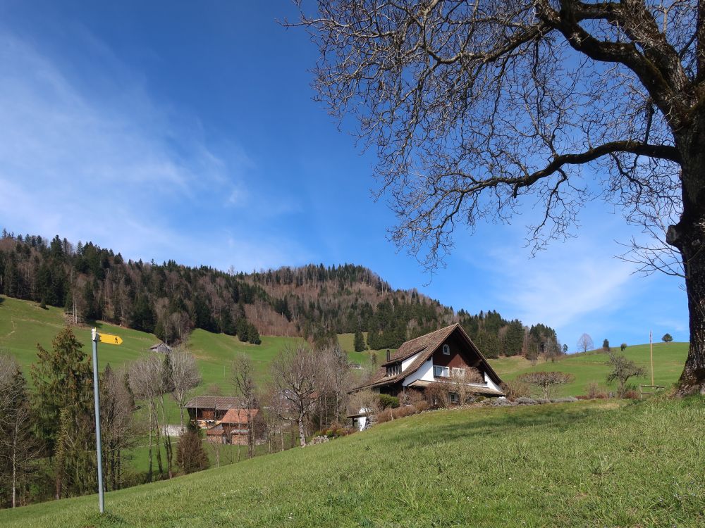 Wiesenpfad bei Hugenmatt