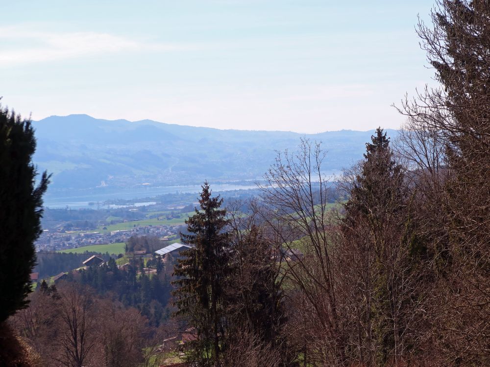 Blick zum Zürichsee