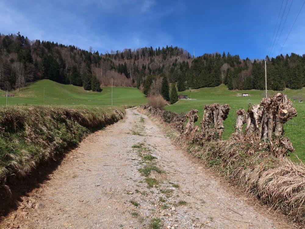 Weg am Schafberg