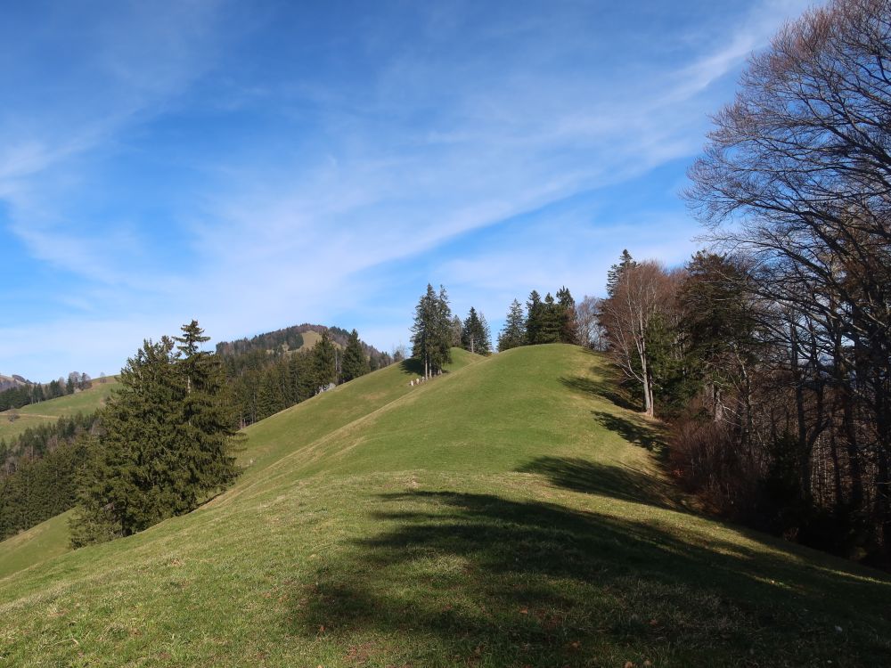 Bergkamm am Köbelberg